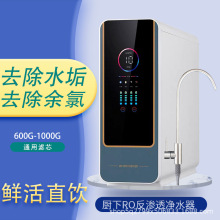 �N��ֱ�RO���B͸��ˮ��TSD���rˮ�|�z�y������1000G���V��ˮ�C