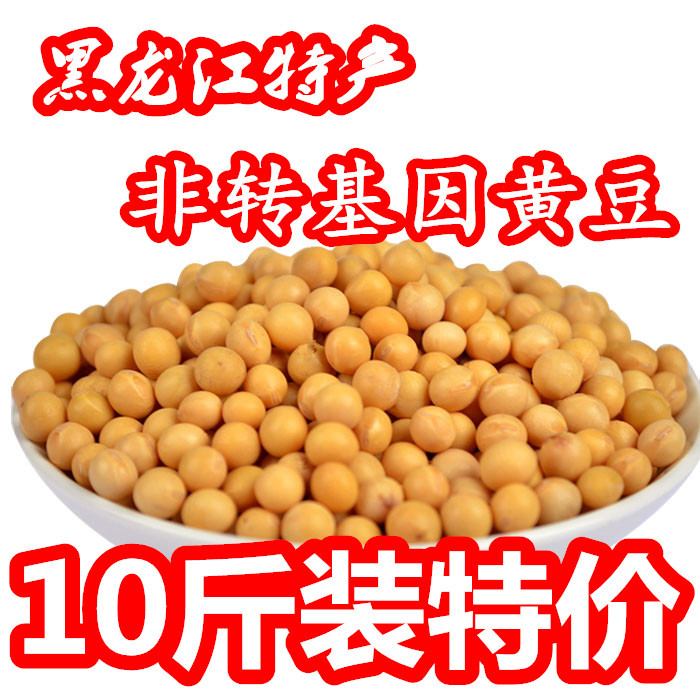 东北新黄豆黑龙江农家自产黄豆榨豆浆生豆芽非转基因大豆自种散装