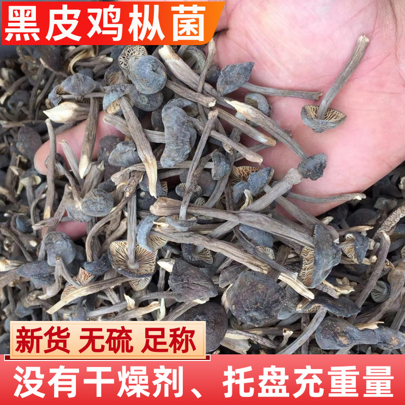 黑皮鸡枞菌干货干鸡纵菌鸡枞菌菇云南特产鸡枞菌菌菇类香菇蘑菇