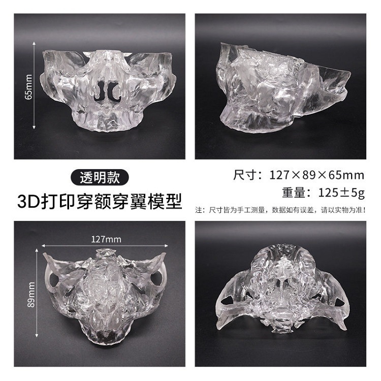 Modelo de ejercicios de punción de pico dental Modelo de ejercicios de implante de resina Modelo de impresión de resina 3D Color especificado