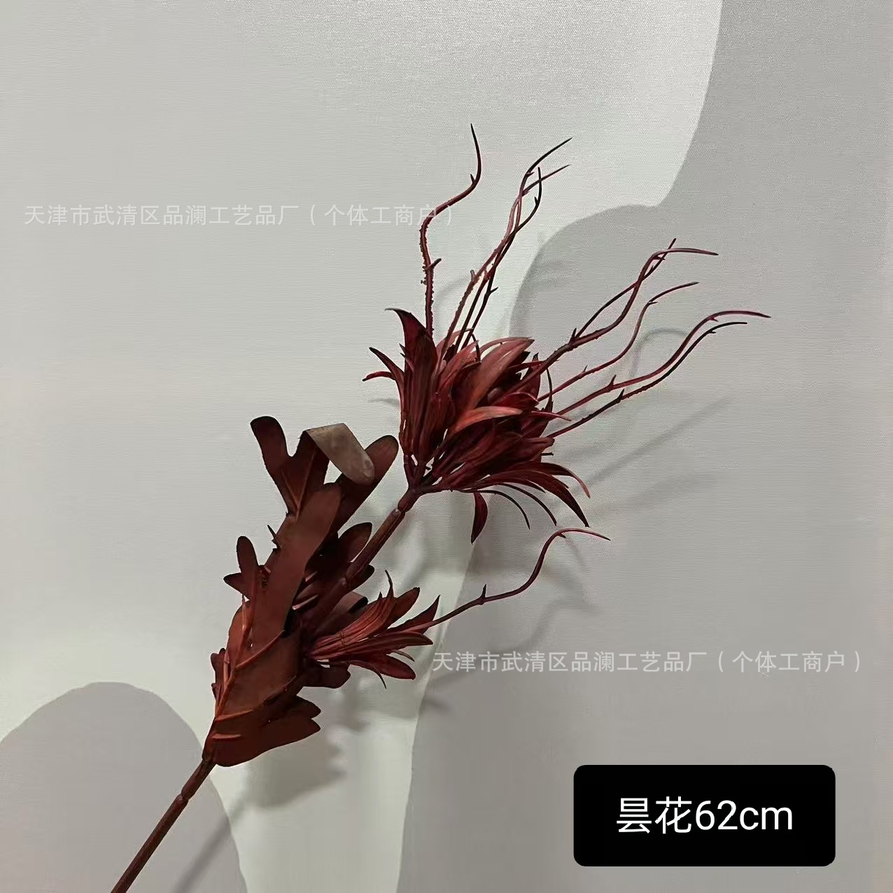 에피필럼
