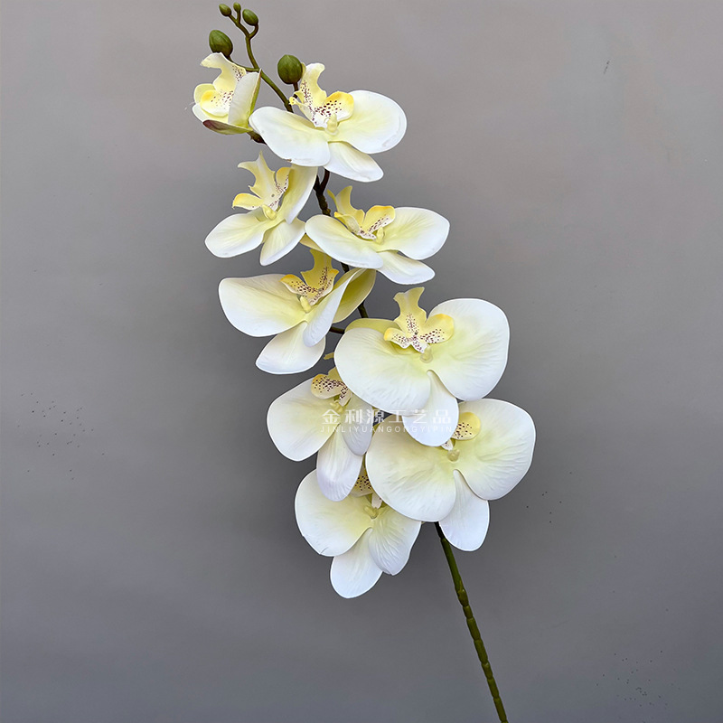 61绿白