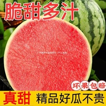 ���r���䮔��ժƤ�������ϟo�ѱ����ѳ���Fˮ���������������