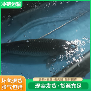 ���l���Ͳ��~�Ĵ�����~������~ʳ�Ĳ�����û��~Ʒ�|��