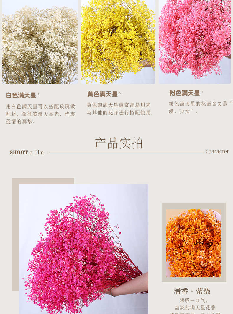 满天星_06