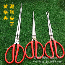 �S�X���q�A�� ��Ó���L�Ӻ��X�~�Q�з���r�� �s�����~���ߊA�~��