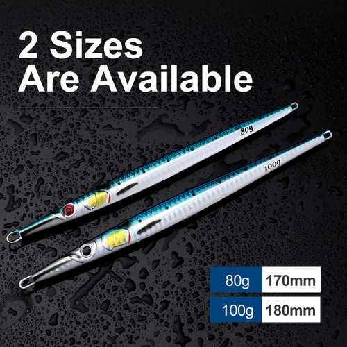 80g 100g 3D Printed High Hardness Fast Sinking Quick Retractable Iron Plate Lure for Sea Fishing Boat Fishing Lead Fish Tuna
