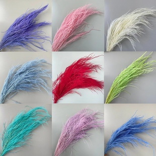 ��횲ݻ�c�ɻ���ë���������Wʽ��c�b�diyܛ�b�[���������