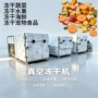 低温真空冻干脆片干燥机