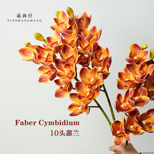 10�^ܛ�z�ָ�ޥ�m��֧���滨ֱ�N��c�ҾӲ廨�b͹ŔzӰ����
