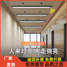 ߵ^ledLl픵ͣ܇܇btw_Б