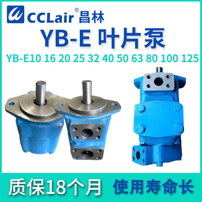 YB-E10液压6.3油泵12叶片泵16 20 YB-E25 32 YBE40 50 63 80 100