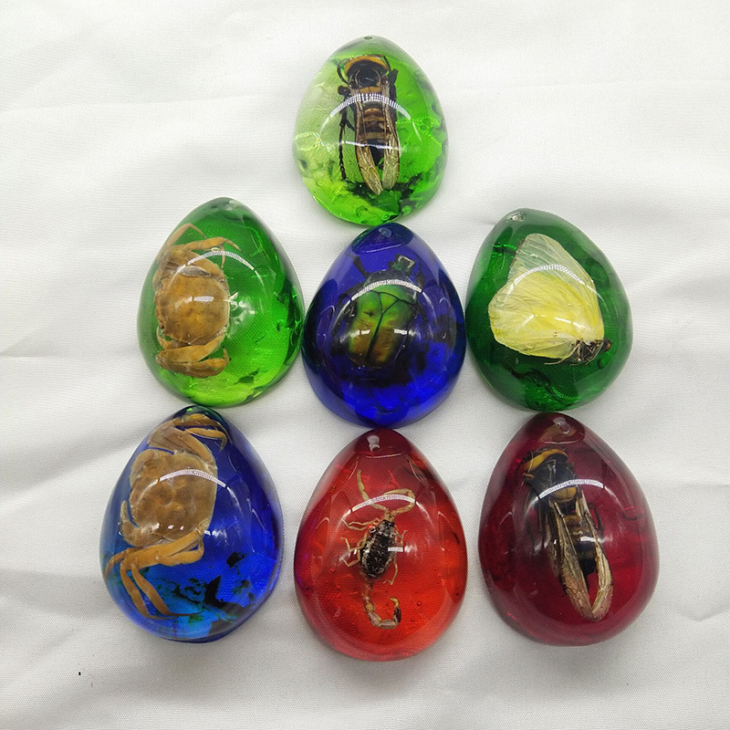 369B51F0A356C1D0F278609EF67F70