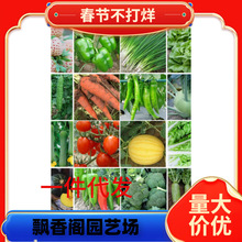 ߲˷Nļ˾²̨ԲͥԺ＾˷Nݴȫ