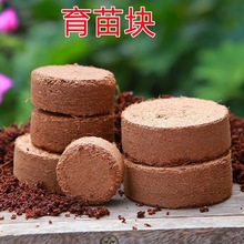 压缩椰糠砖育苗块草花营养土通用型吸水椰土肥育苗种植土椰丝圆饼