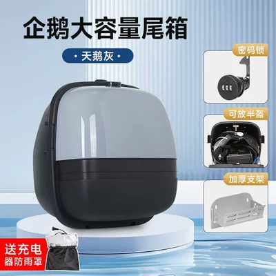 Electric car tail box 9 Electric Bikes - password-lock-double-side-buckle-swan-gray-bracket-no-specifications