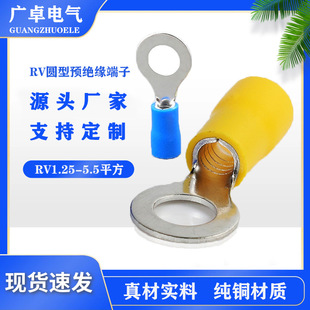 RV�A���A�^�����Ӿ����� �h���~�����^���� O���䉺�A���~����