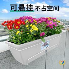 ?�N���N�����ϻ���Ӵ�Ӻ��̨�ɑҒ�N���蹤�S���l�Nֲ��