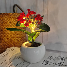 ���滨�L�ۻ�LED�辰�S��ֱ�����컨�����҃�С�[������ֲ������