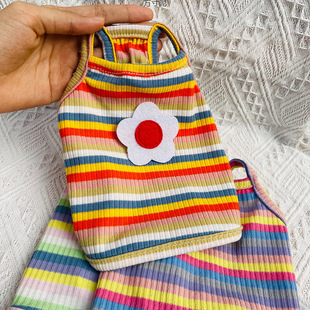 Ins Style Dog and Cat Pet Clothes Vest Thin Spring and Summer Teddy Corgi Small and Medium-Sized Dog Puppy Factory