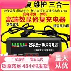 爆款激活饿死电池修复器电动车充电器48V60v72v脉冲维护电瓶铅酸