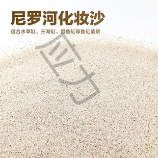 ���_��ɳ���yɳ�ݸ����������~��ɰ�~���쾰��ɳ��ɳ�Sɫ��ɳˮ��