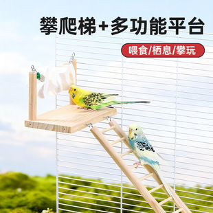 �W�^���ƽ̨��Ƥĵ���B��Ϣ��Ϣ˯�Xιʳվ̨�������쾰�����Ʒ