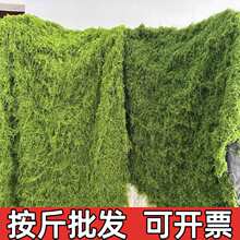 ��������̦޺�쾰����ֲ��˿״��̦�ڷ������ڵ���̨��ƺ������ֲ