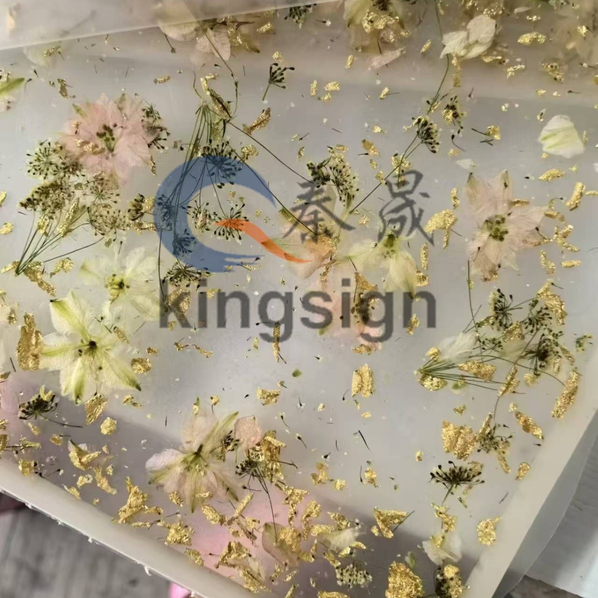 秦晟亚克力飞燕小雏菊板 真花系列 PMMA装饰有机玻璃 压克力花式