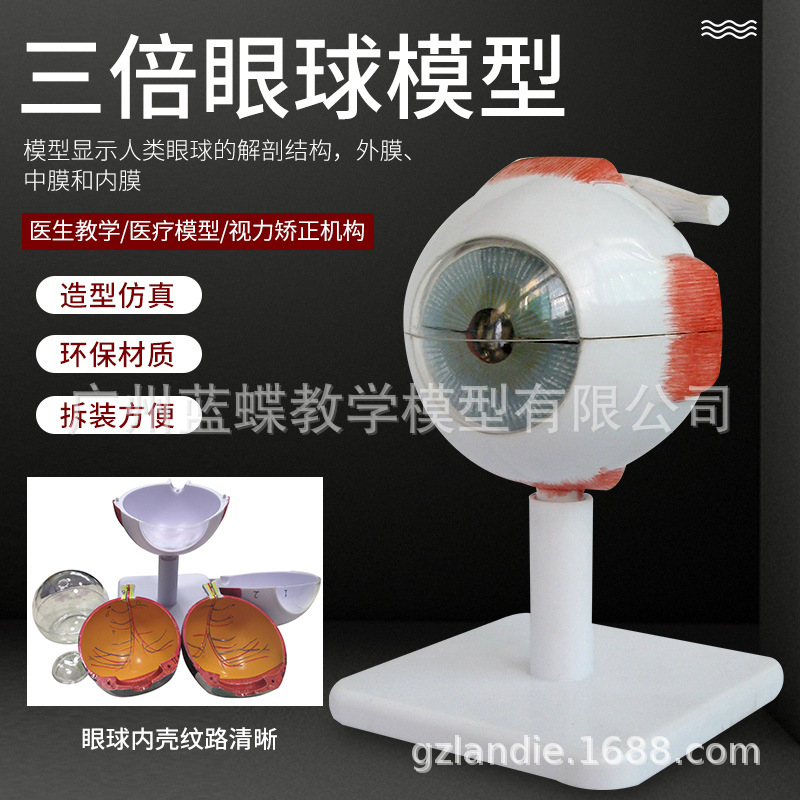 3���Ŵ� �����������ģ�� �����۾�����ѧ �о�����ٿ��ۿ�ģ��