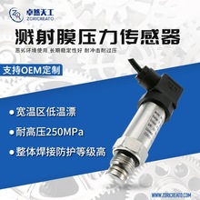 齐平膜无腔型压力变送器智能卫生控制器替代丹佛斯溅射薄膜批发