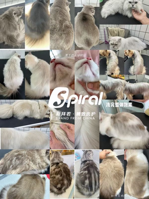 Spiral斯拜若宠物猫犬柔顺蓬松洗护套装清洁沐浴露护毛素去油精华|undefined