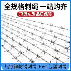 热镀锌刺绳现货 全规格PVC包塑刺绳 铁路光伏养殖防攀爬刺铁丝
