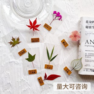 ֲ��˱��������ϰ�Ѻ������diy���ϸɻ����ߌW�������Ƹɻ��˱�