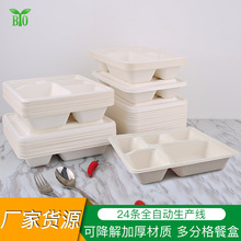 一次性可降解餐盒纸浆便当盒竹浆四格五格轻食沙拉打包盒商用批发