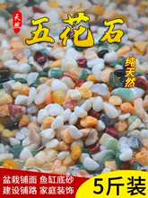 天然彩石鱼缸专用铺底砂多肉盆栽铺面石子五彩石头雨花石造景摆件