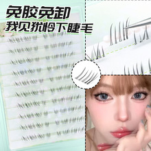 ��Ҋ�q�z�½�ë��������ë���δ؝�������к�ϵ������Ȼ�ֶ�����