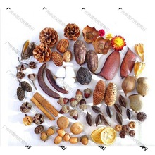 ɻb޻ɹ֦~ɏ׃@ֹhω