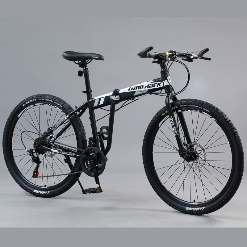 Shock-absorbing folding mountain mountain bike