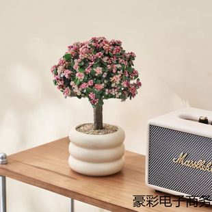 Golden Branch Jade Leaf Lollipop Big Old Pile Succulent Plant Dancing Joy Radiation Protection Formaldehyde Absorption Living Room Green Plant Flower