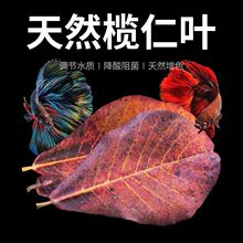 �����~���~�����~�~�׽���PHֵ�{�����������������ϙ��~��������