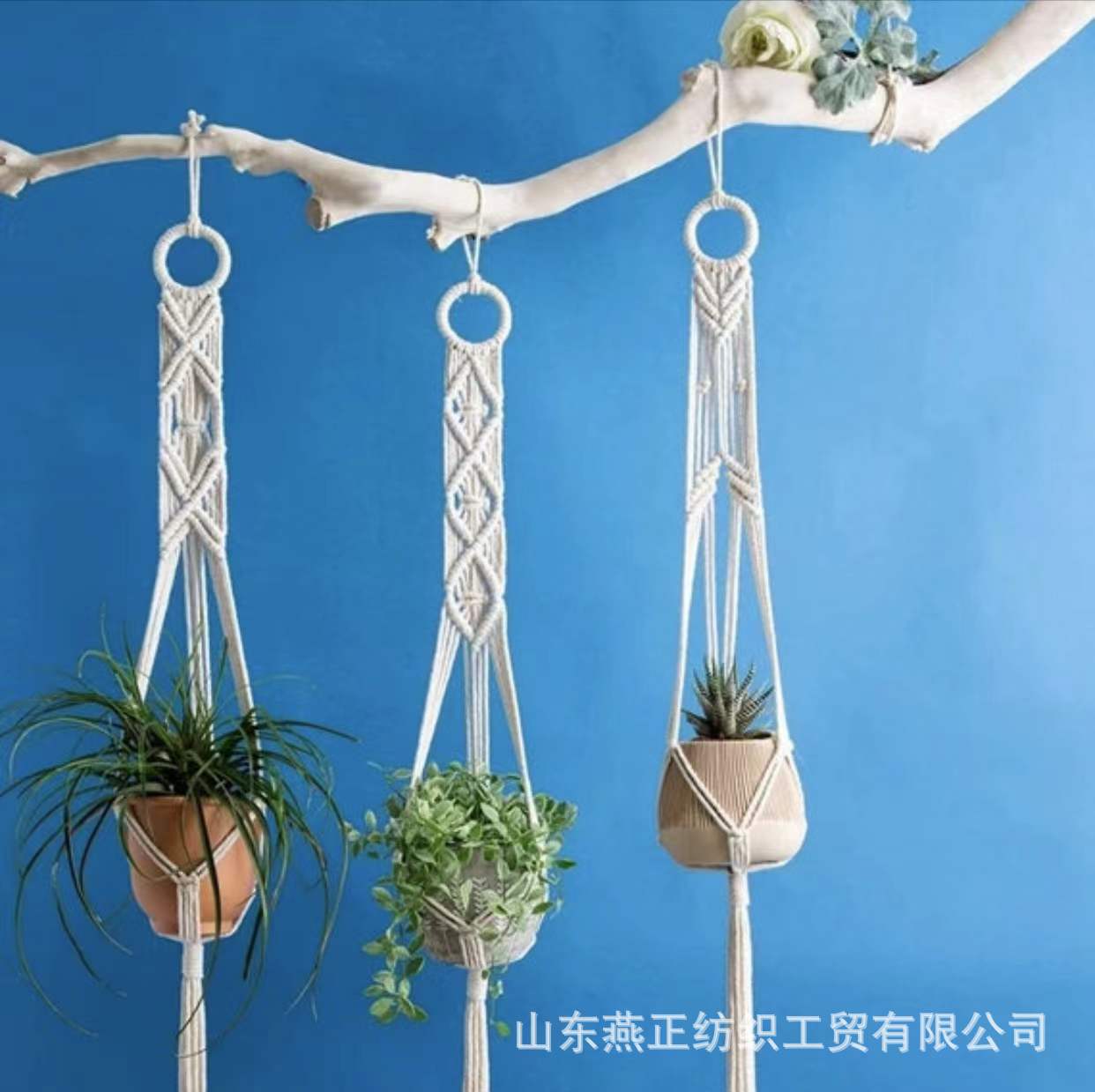 微信图片_20220306082059