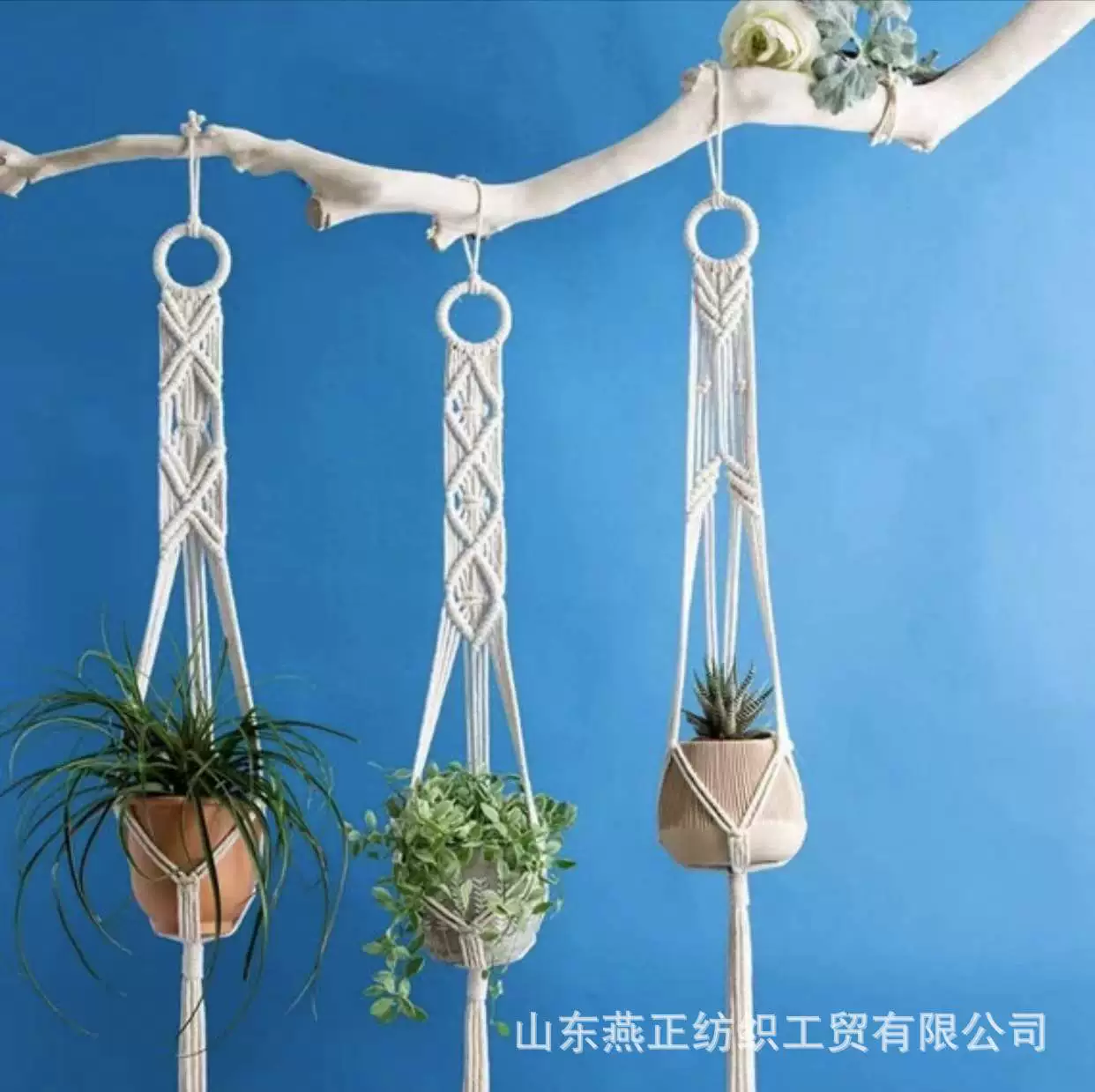 Трансграничная плетеная подвесная корзина Цветочный горшок Подвесная раковина для орхидей Подвесная настенная подвесная корзина Подвесная корзина Зеленая Роза Маленькая подвесная корзина в горшке