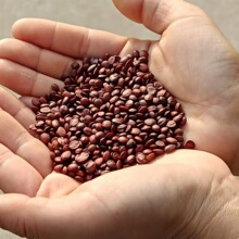 ���|�ᗗ��Ұ���|����؛ ��؛Դ�^�a��ֱ�N���|��ș�����l