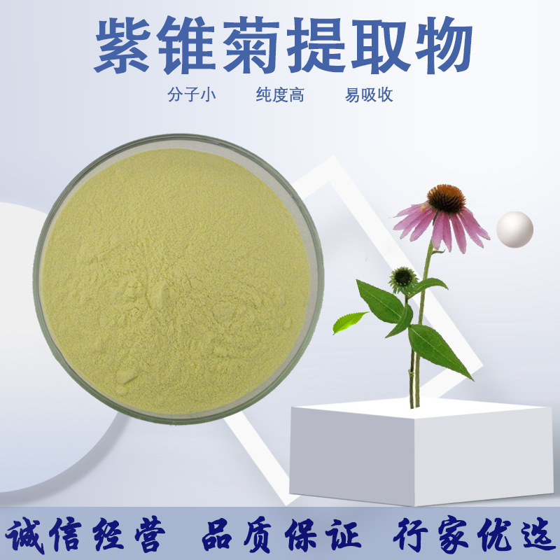 紫锥菊提取物 菊苣酸 4% 菊苣多酚 优质现货 紫锥菊提取物