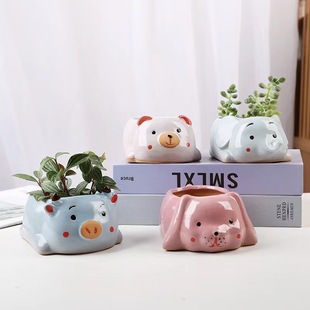 ��Ʒ�����մɻ��迨ͨ�ɐۄ���Gֲ����͸����Lֲ�����Ի�