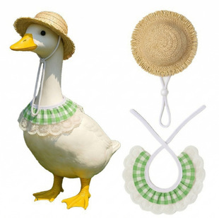 �T���Z 2026��Ʒ��@�L�T���Z�b� Porch Goose Costume������b