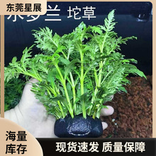 ˮ�_�m����~���쾰��ˮ�ݎ����ˮ�������֑��˺��B���T���ֲ��