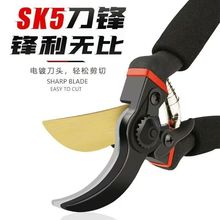 �@ˇ��֦������֦�����䲻�P䓈@�ֻ�ˇ���ӹ����޼���֦�������l