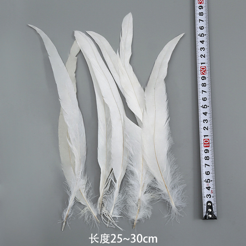 25-30cm 수탉 꼬리 (100의 배수로 주문)